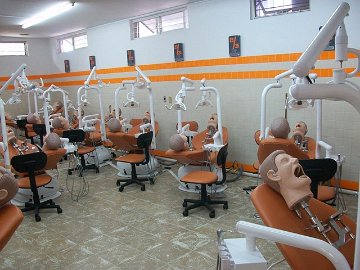 Simuladores dentales